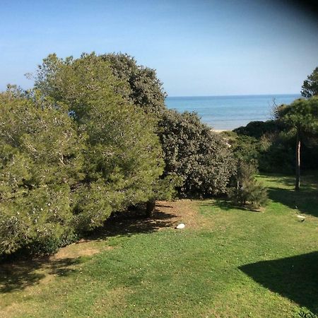 Entre Mer Et Piscine Hyères Esterno foto
