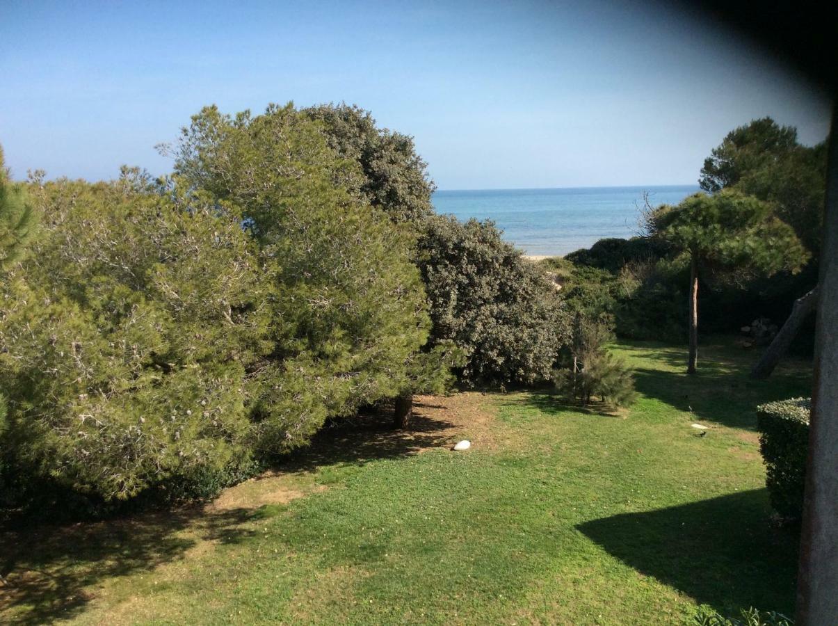 Entre Mer Et Piscine Hyères Esterno foto