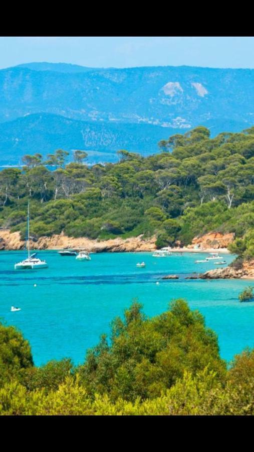 Entre Mer Et Piscine Hyères Esterno foto
